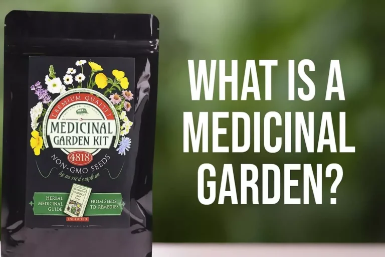 Medicinal Garden Kit Review